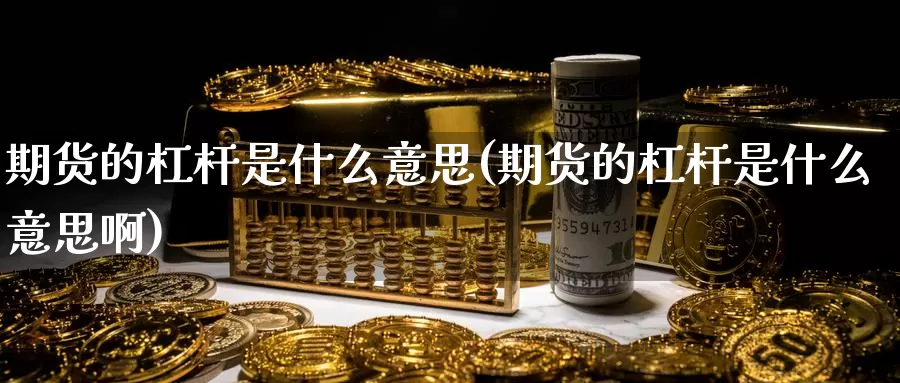 期货的杠杆是什么意思(期货的杠杆是什么意思啊)_https://www.zzcnk.com_期货_第1张