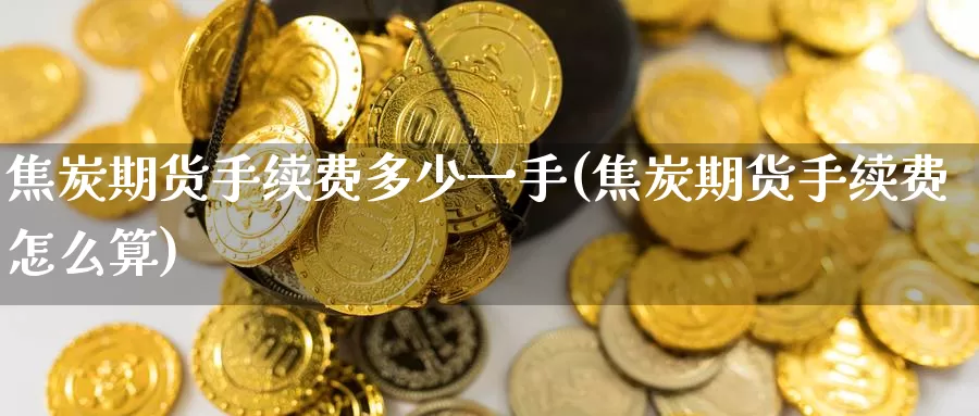 焦炭期货手续费多少一手(焦炭期货手续费怎么算)_https://www.zzcnk.com_期货直播_第1张