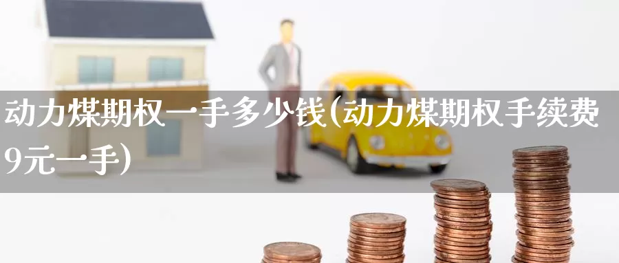 动力煤期权一手多少钱(动力煤期权手续费9元一手)_https://www.zzcnk.com_期货直播_第1张