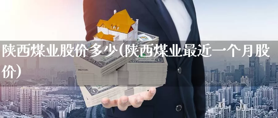 陕西煤业股价多少(陕西煤业最近一个月股价)_https://www.zzcnk.com_期货百科_第1张