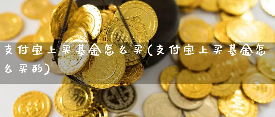 支付宝上买基金怎么买(支付宝上买基金怎么买的)_https://www.zzcnk.com_基金_第1张