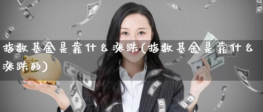 指数基金是靠什么涨跌(指数基金是靠什么涨跌的)_https://www.zzcnk.com_基金_第1张