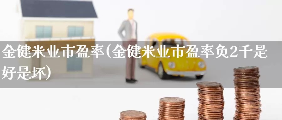 金健米业市盈率(金健米业市盈率负2千是好是坏)_https://www.zzcnk.com_期货直播_第1张