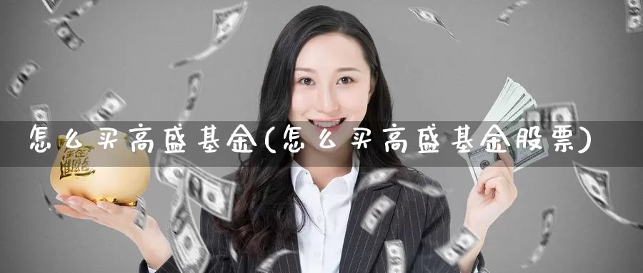 怎么买高盛基金(怎么买高盛基金股票)_https://www.zzcnk.com_基金_第1张