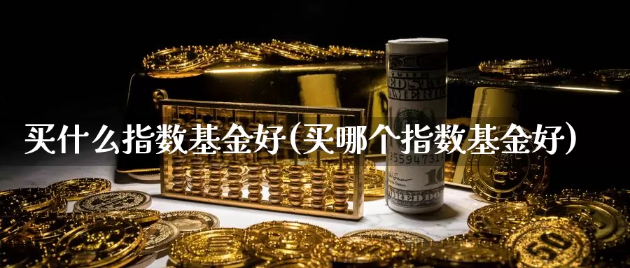 买什么指数基金好(买哪个指数基金好)_https://www.zzcnk.com_财经_第1张