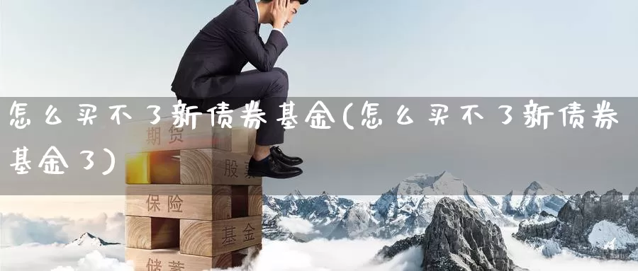 怎么买不了新债券基金(怎么买不了新债券基金了)_https://www.zzcnk.com_基金_第1张