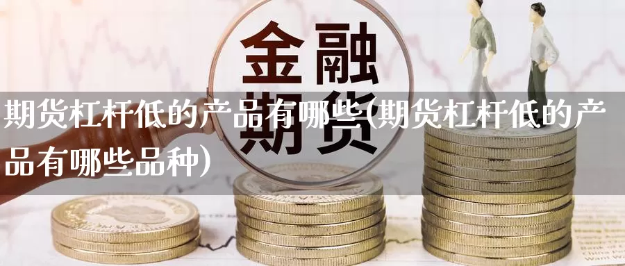期货杠杆低的产品有哪些(期货杠杆低的产品有哪些品种)_https://www.zzcnk.com_内盘期货_第1张