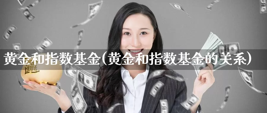 黄金和指数基金(黄金和指数基金的关系)_https://www.zzcnk.com_财经_第1张