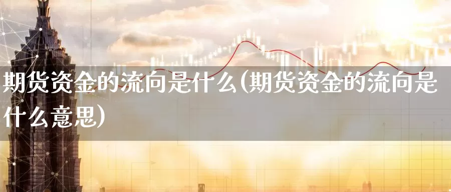 期货资金的流向是什么(期货资金的流向是什么意思)_https://www.zzcnk.com_期货_第1张