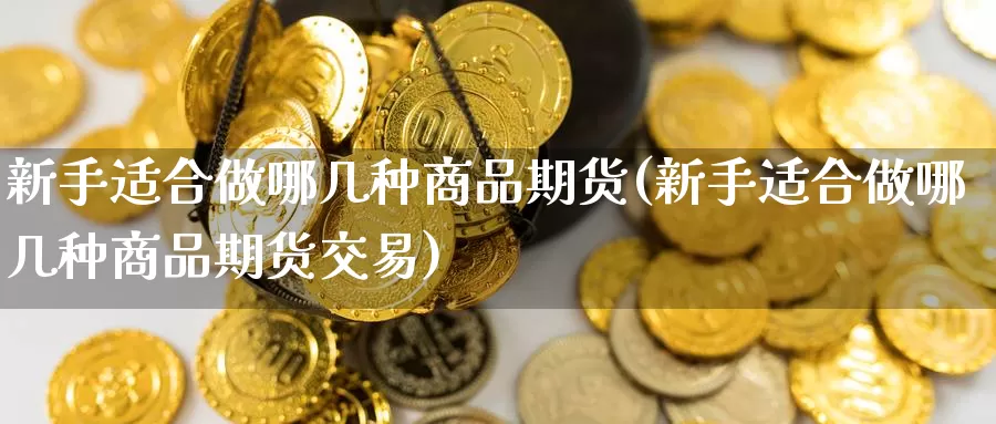 新手适合做哪几种商品期货(新手适合做哪几种商品期货交易)_https://www.zzcnk.com_纳指期货_第1张
