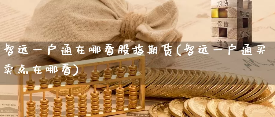 智远一户通在哪看股指期货(智远一户通买卖点在哪看)_https://www.zzcnk.com_期货百科_第1张