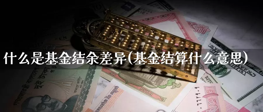 什么是基金结余差异(基金结算什么意思)_https://www.zzcnk.com_基金_第1张