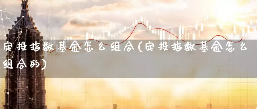 定投指数基金怎么组合(定投指数基金怎么组合的)_https://www.zzcnk.com_财经_第1张