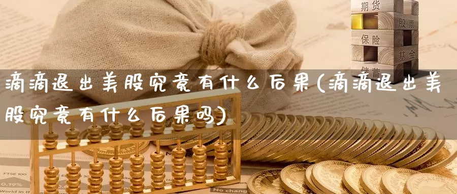 滴滴退出美股究竟有什么后果(滴滴退出美股究竟有什么后果吗)_https://www.zzcnk.com_理财_第1张