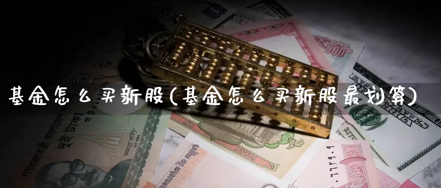 基金怎么买新股(基金怎么买新股最划算)_https://www.zzcnk.com_基金_第1张