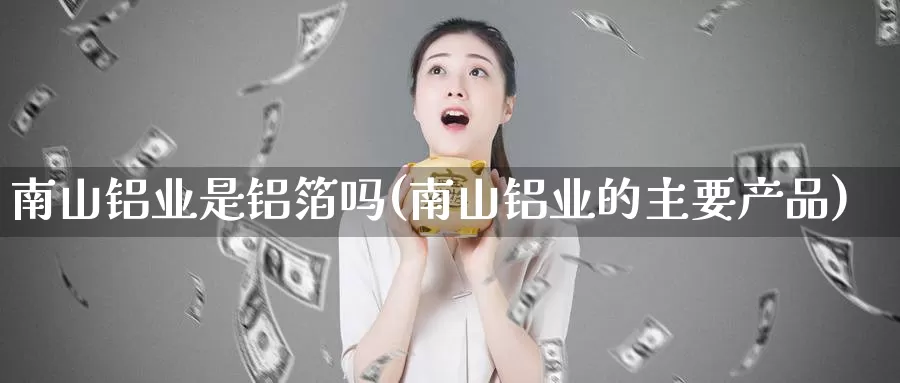 南山铝业是铝箔吗(南山铝业的主要产品)_https://www.zzcnk.com_期货直播_第1张