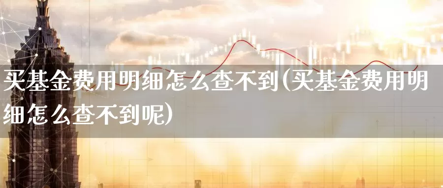 买基金费用明细怎么查不到(买基金费用明细怎么查不到呢)_https://www.zzcnk.com_基金_第1张