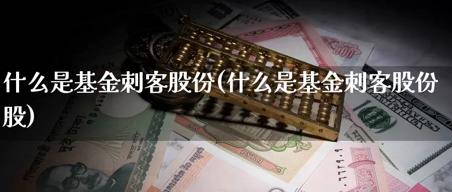 什么是基金刺客股份(什么是基金刺客股份股)_https://www.zzcnk.com_基金_第1张