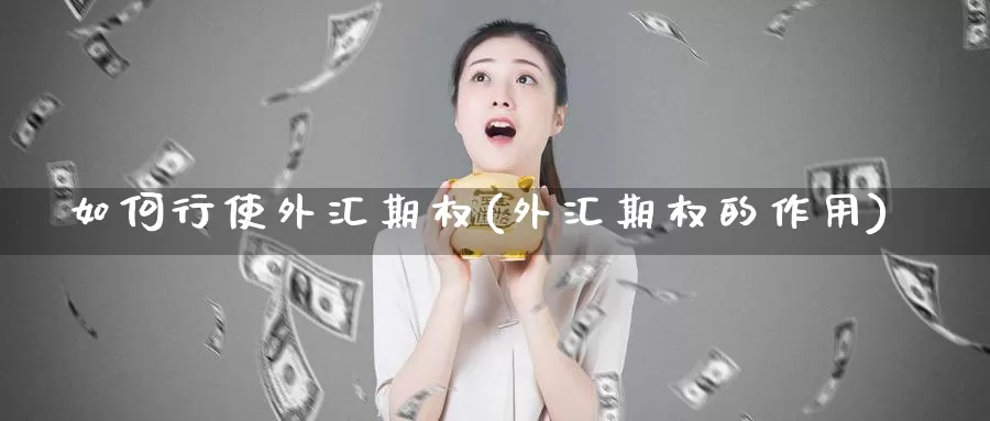如何行使外汇期权(外汇期权的作用)_https://www.zzcnk.com_内盘期货_第1张