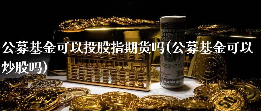 公募基金可以投股指期货吗(公募基金可以炒股吗)_https://www.zzcnk.com_股指期货_第1张