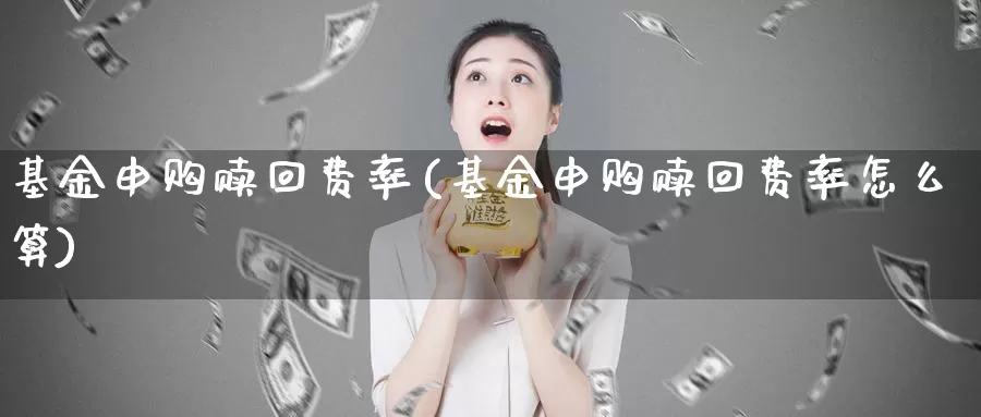 基金申购赎回费率(基金申购赎回费率怎么算)_https://www.zzcnk.com_股票_第1张