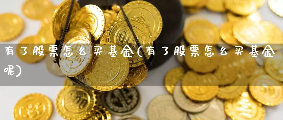 有了股票怎么买基金(有了股票怎么买基金呢)_https://www.zzcnk.com_基金_第1张