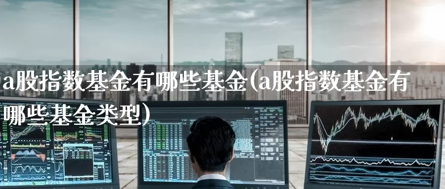 a股指数基金有哪些基金(a股指数基金有哪些基金类型)_https://www.zzcnk.com_内盘期货_第1张
