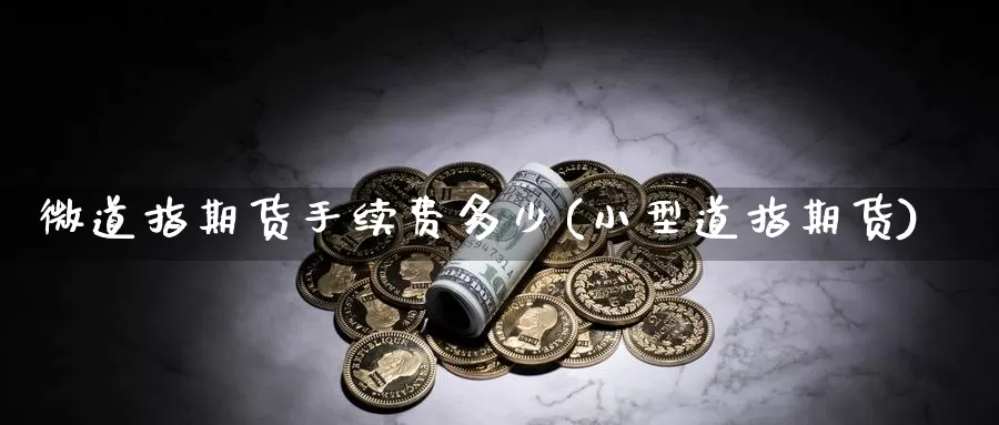 微道指期货手续费多少(小型道指期货)_https://www.zzcnk.com_纳指期货_第1张