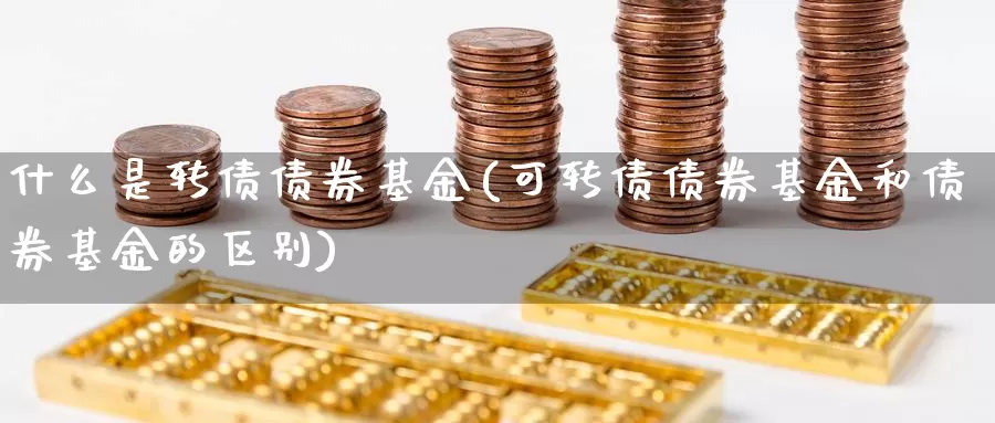 什么是转债债券基金(可转债债券基金和债券基金的区别)_https://www.zzcnk.com_基金_第1张