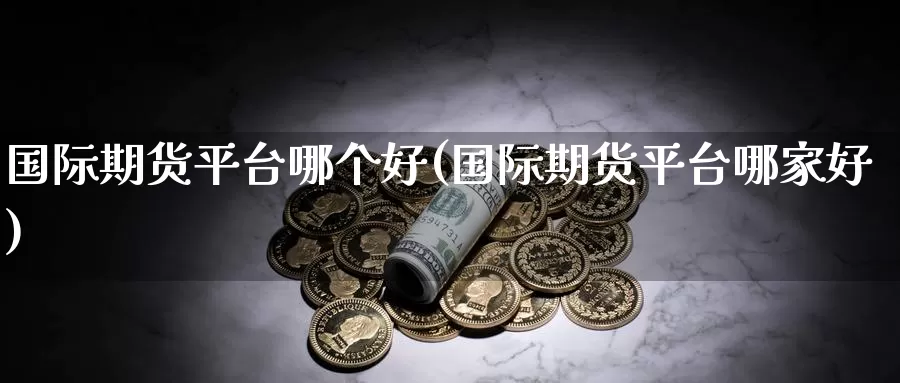 国际期货平台哪个好(国际期货平台哪家好)_https://www.zzcnk.com_期货直播_第1张