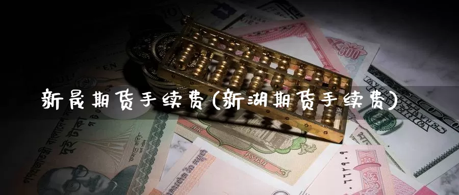 新晟期货手续费(新湖期货手续费)_https://www.zzcnk.com_股指期货_第1张