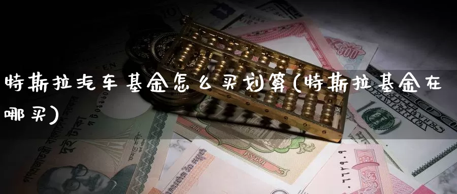 特斯拉汽车基金怎么买划算(特斯拉基金在哪买)_https://www.zzcnk.com_基金_第1张