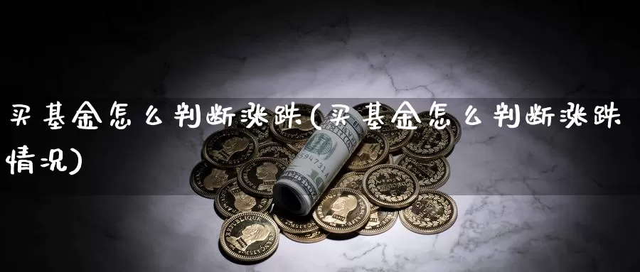 买基金怎么判断涨跌(买基金怎么判断涨跌情况)_https://www.zzcnk.com_基金_第1张