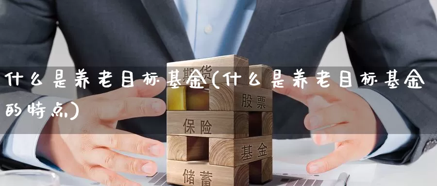 什么是养老目标基金(什么是养老目标基金的特点)_https://www.zzcnk.com_基金_第1张