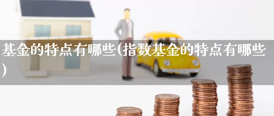 基金的特点有哪些(指数基金的特点有哪些)_https://www.zzcnk.com_理财_第1张