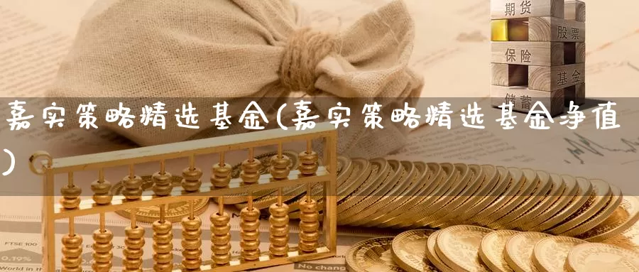 嘉实策略精选基金(嘉实策略精选基金净值)_https://www.zzcnk.com_股票_第1张
