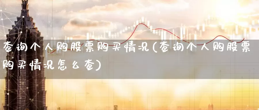 查询个人购股票购买情况(查询个人购股票购买情况怎么查)_https://www.zzcnk.com_股票_第1张