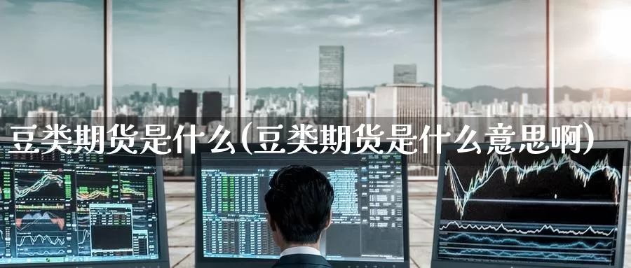 豆类期货是什么(豆类期货是什么意思啊)_https://www.zzcnk.com_期货_第1张