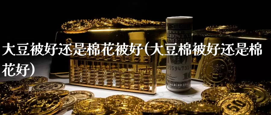 大豆被好还是棉花被好(大豆棉被好还是棉花好)_https://www.zzcnk.com_股指期货_第1张