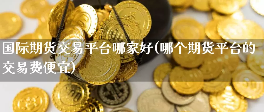国际期货交易平台哪家好(哪个期货平台的交易费便宜)_https://www.zzcnk.com_股指期货_第1张