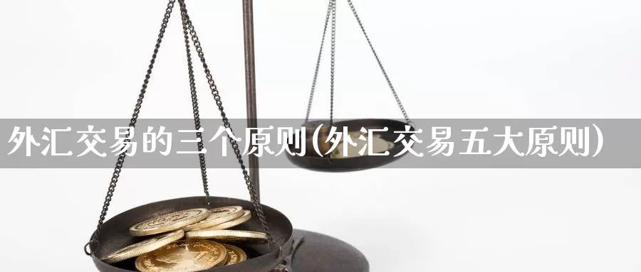 外汇交易的三个原则(外汇交易五大原则)_https://www.zzcnk.com_内盘期货_第1张