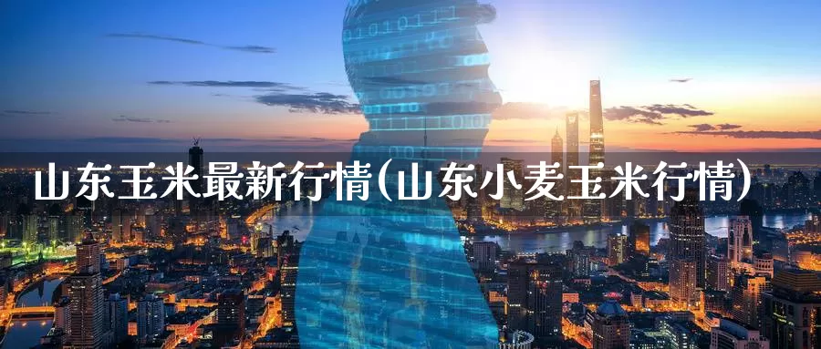 山东玉米最新行情(山东小麦玉米行情)_https://www.zzcnk.com_股指期货_第1张