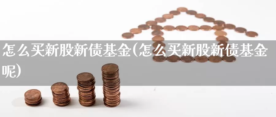 怎么买新股新债基金(怎么买新股新债基金呢)_https://www.zzcnk.com_基金_第1张