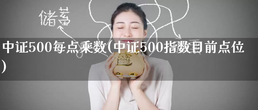 中证500每点乘数(中证500指数目前点位)_https://www.zzcnk.com_期货百科_第1张
