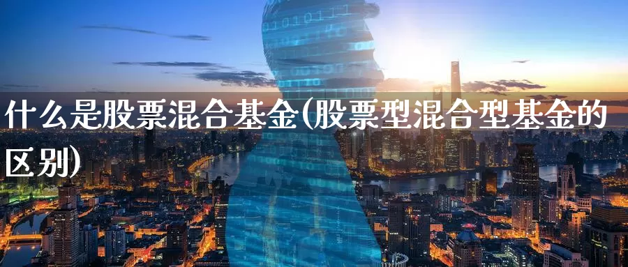 什么是股票混合基金(股票型混合型基金的区别)_https://www.zzcnk.com_财经_第1张
