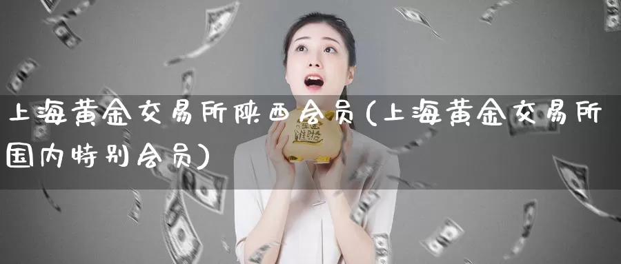 上海黄金交易所陕西会员(上海黄金交易所国内特别会员)_https://www.zzcnk.com_内盘期货_第1张
