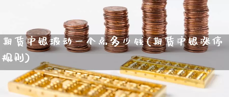 期货沪银波动一个点多少钱(期货沪银涨停规则)_https://www.zzcnk.com_期货百科_第1张