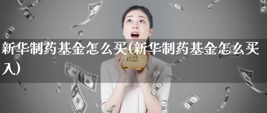 新华制药基金怎么买(新华制药基金怎么买入)_https://www.zzcnk.com_基金_第1张