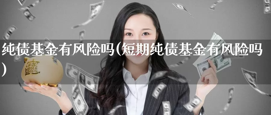 纯债基金有风险吗(短期纯债基金有风险吗)_https://www.zzcnk.com_基金_第1张