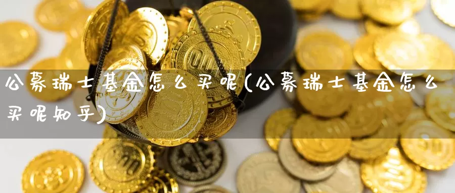 公募瑞士基金怎么买呢(公募瑞士基金怎么买呢知乎)_https://www.zzcnk.com_基金_第1张